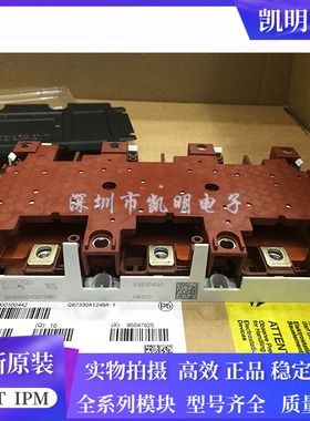 SKIM250GD128D SKIM304GD12T4D SKIM401GD128D SKIM455GD12T4DM1