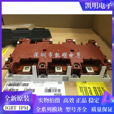 SKIM250GD128D SKIM304GD12T4D SKIM401GD128D SKIM455GD12T4DM1