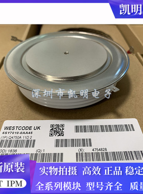 6SY7010-0AA45 6SY7010-0AA05 6SY7010-0AA41 6SY7010-0AA21