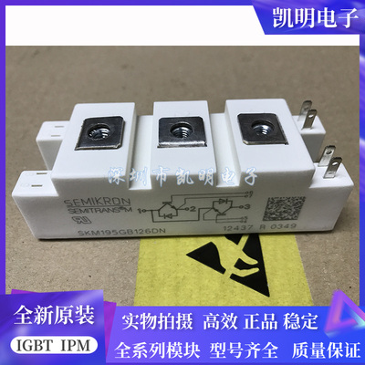 SKM100GB125DN SKM195GB126DN SKM145GB124DN SKM75GB128DN 176DN