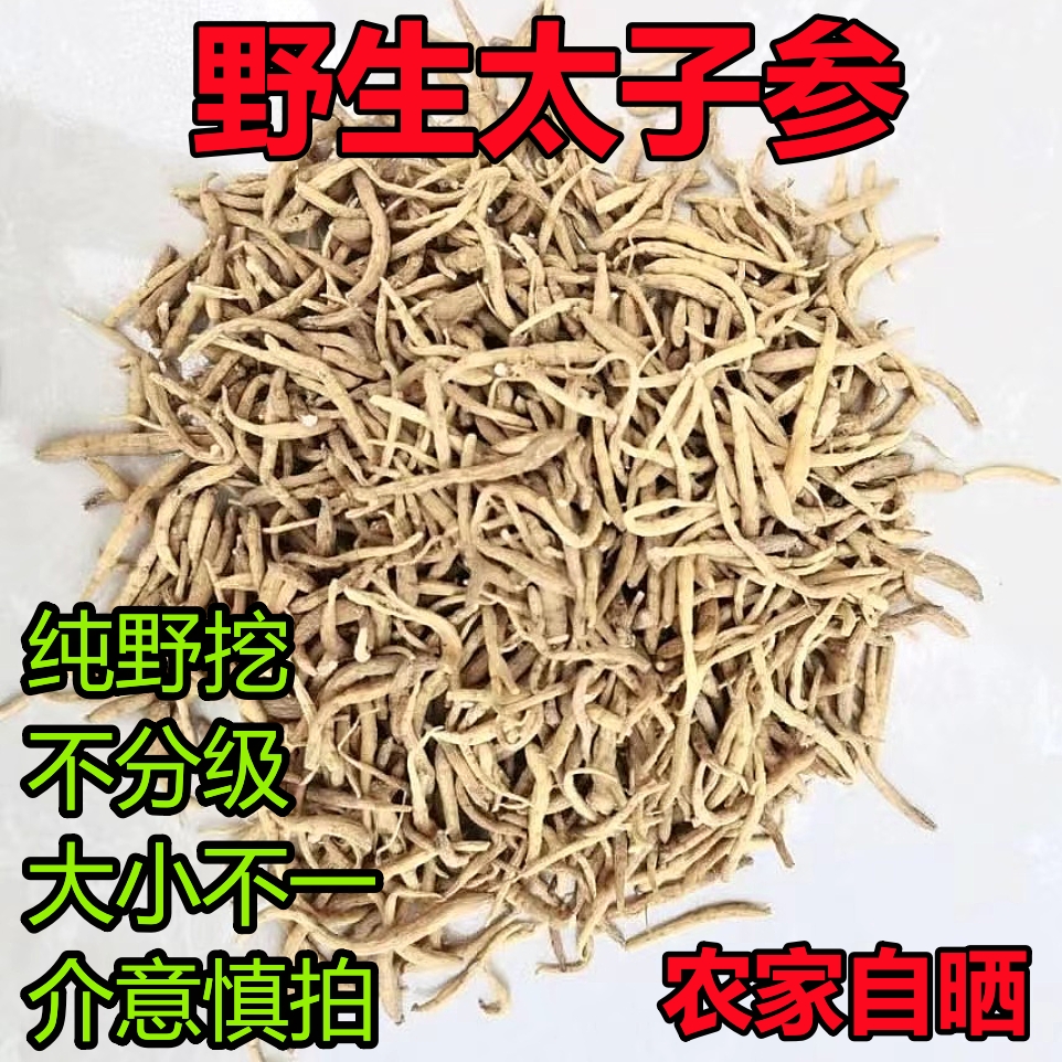 太子参 正品野生太子参 正宗野外深山老林挖采孩儿参四叶参孩童参