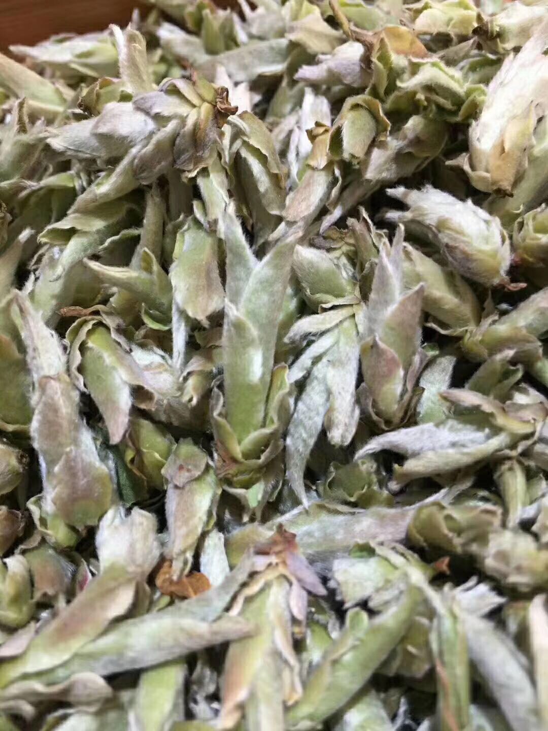 春茶云南野生古树芽苞茶白芽苞茶普洱生茶散茶白雀嘴茶500克包邮