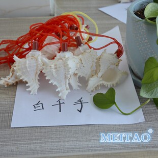 千手贝壳口哨天然认知发声简单亲子儿童玩具大号中小奇特海螺哨子