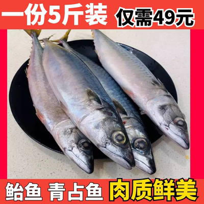 鲐鱼青占鱼5斤装顺丰500g冷冻