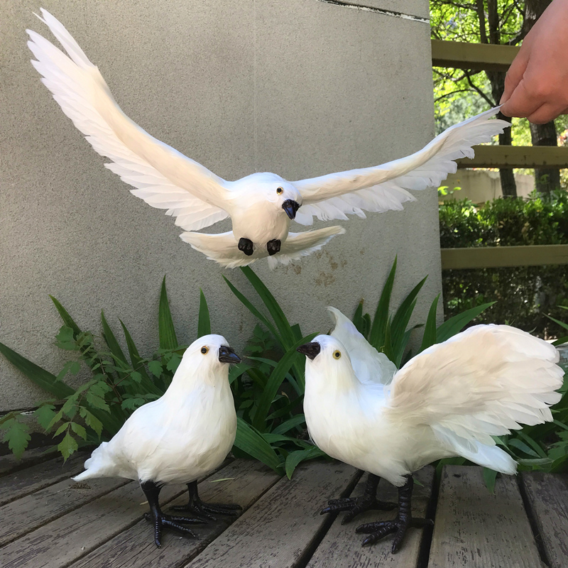 仿真鸽和平鸽模型真羽毛鸟类摆件