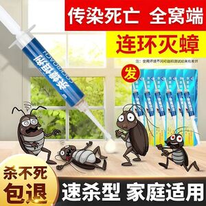 雳杀蟑饵剂达家用蟑螂药非无毒小强一窝端正品官方旗舰店全窝绝杀