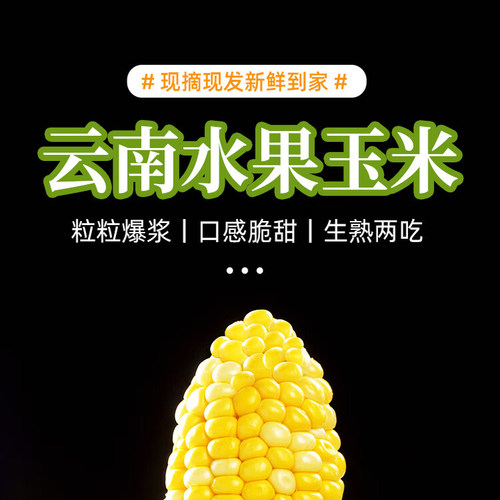云南金银水果玉米甜玉米新鲜玉米水果玉米水果甜玉米甜玉米精品