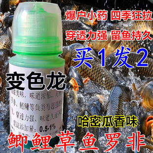 变色龙钓鱼小药黑坑野钓诱鱼饵料添加剂鲤鱼鲫鱼草鱼青鱼诱食钓饵