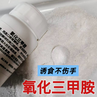 氧化三甲胺垂钓钓鱼饵添加剂高效诱食剂钓鲫鱼鲤鱼诱鱼剂野钓黑坑