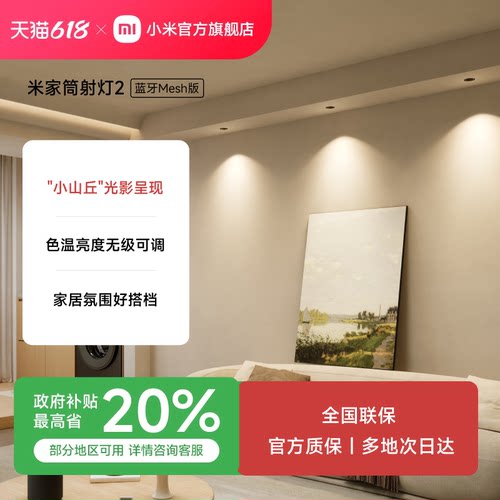 小米米家mseh筒灯客厅智能吊顶