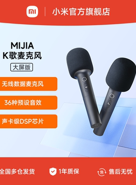 MIJIA/米家 K歌麦克风 大屏版 2支装
