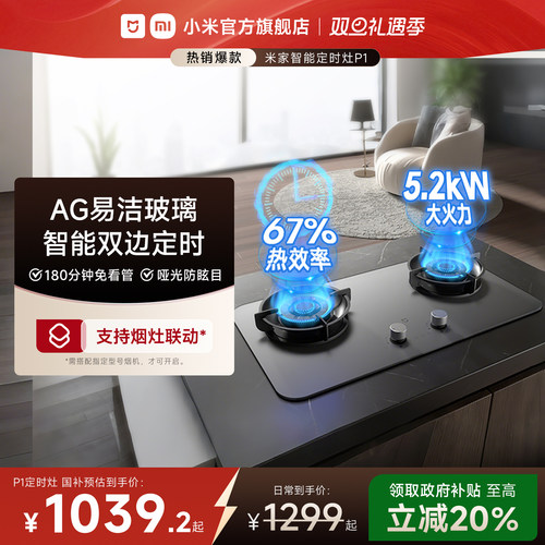 67%一级能效[燃气灶P1]