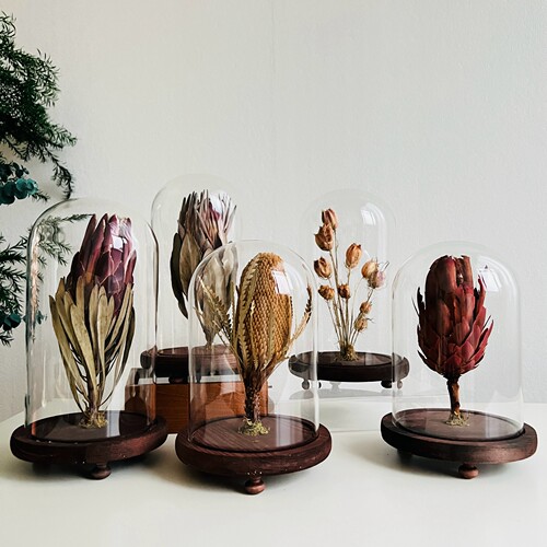 样板间轻奢植物标本装饰品