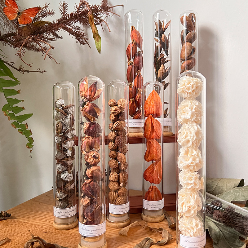 植物标本玻璃试管干花昆虫植物