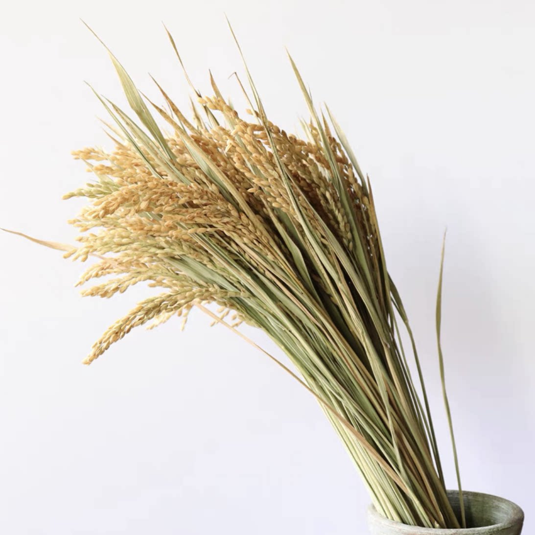 五谷丰收大米小麦大麦稻穗摄影拍摄道具竹制茶席竹子秋收