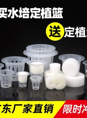 水培定植篮无土栽培蔬菜定植杯定植绵种植塑料圆形篮子阳台水耕