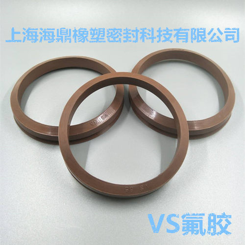 VS氟胶水封 高温旋转密封 VS-110/120/130/140/150