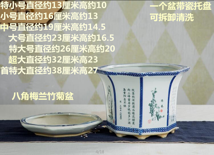 超大号青花瓷蝴蝶兰多肉树盆带图片