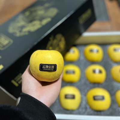 云南高原云野苹果黄金维纳斯脆甜酥脆松纯甜好吃礼盒装新鲜无酸