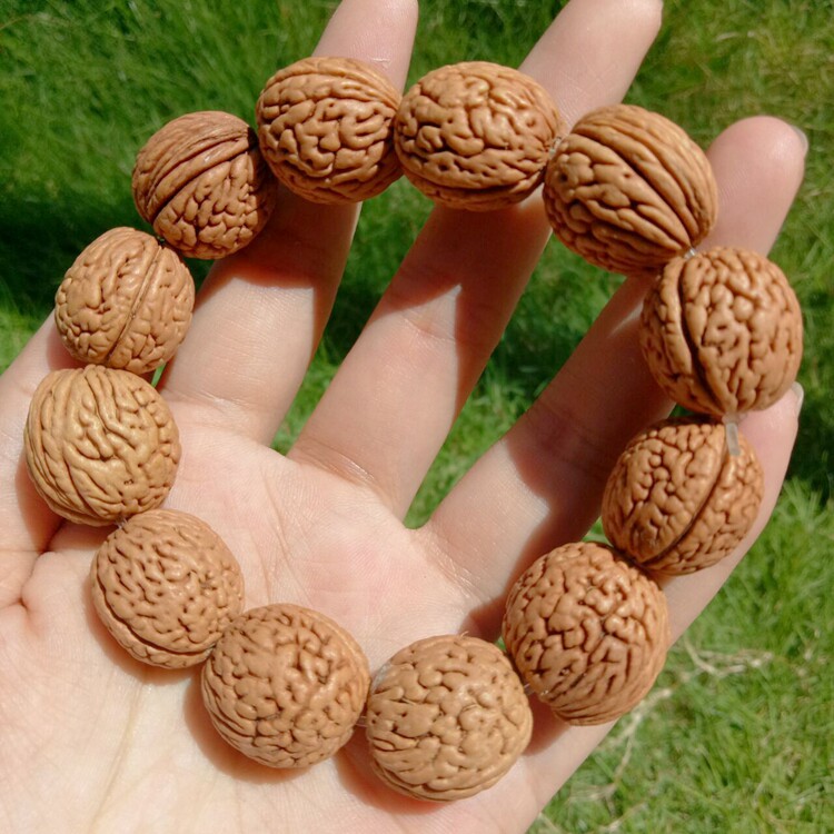 秦岭深山天然野生山桃核桃胡手串脑纹密蚂蚁纹桃核手把玩件盘玩