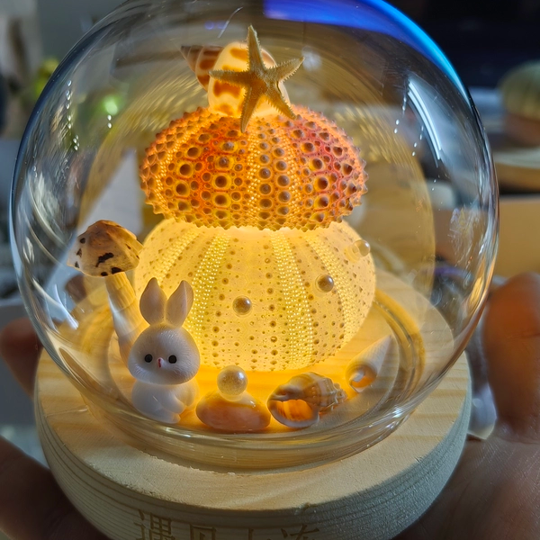 大连天然海胆小夜灯成品 手工制作特色伴手礼  贝壳摆件文创 包邮