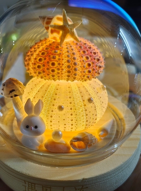 大连天然海胆小夜灯成品 手工制作特色伴手礼  贝壳摆件文创 包邮