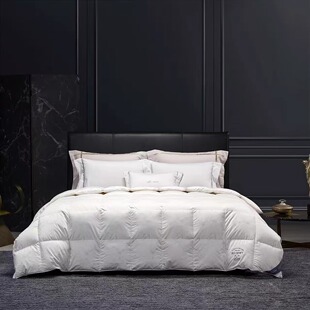 MINE寐羽绒被95%意大利进口白鹅绒被2024四季冬被芯 白罗曼.鎏金