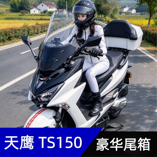 改装天鹰TS/TX150/250摩托车尾箱软皮靠背尾箱行李货架头盔装备箱