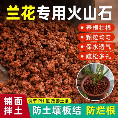 火山石园艺专用多肉蝴蝶兰兰花种植专用土盆栽颗粒营养土岩石垫底