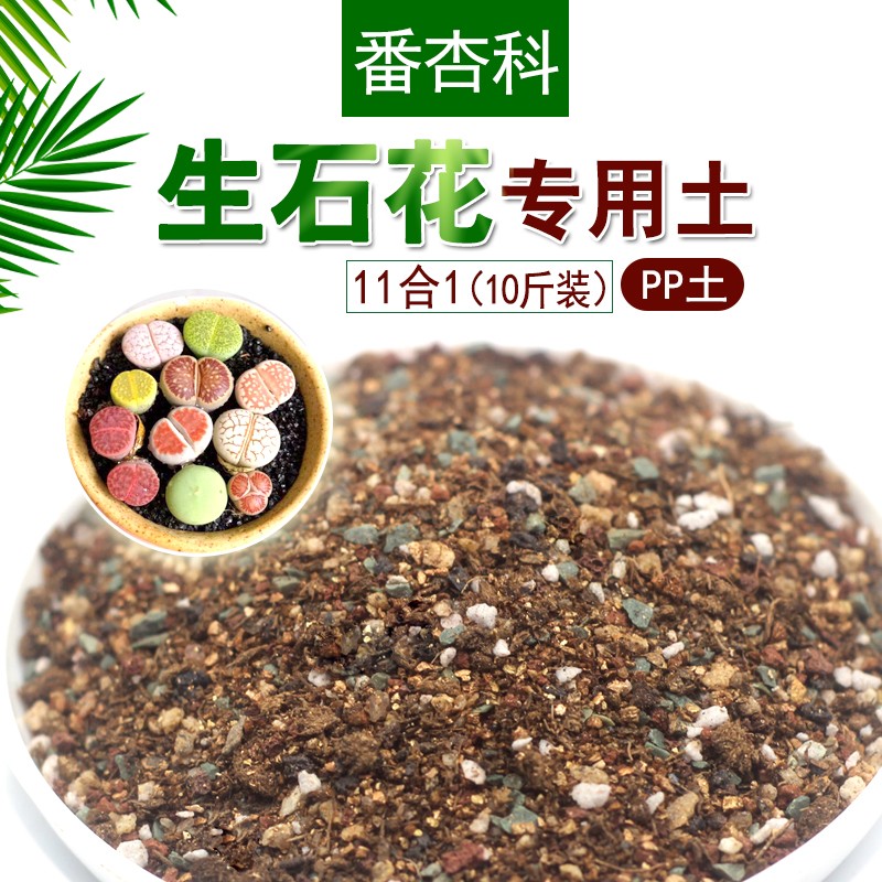 百土集生石花专用土番杏类肉锥类多肉植物颗粒土屁屁花播种专用土