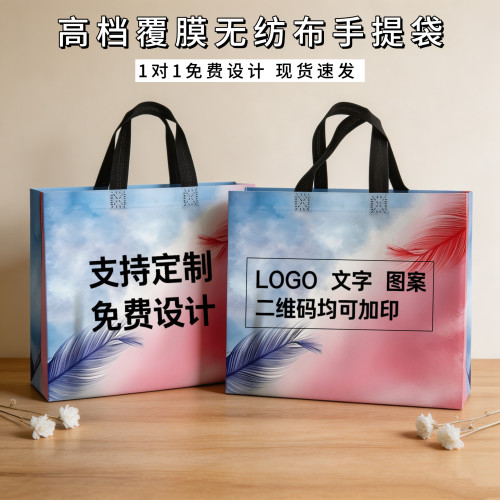 覆膜无纺布手提袋子大容量高级感渐变羽毛礼品袋服装袋简约手提袋