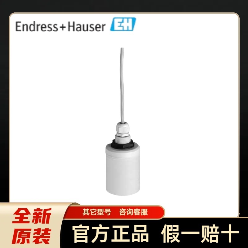 E+H传感器 FDU91-RG2AA   超声波传感器 液位传感器 超声波传感器