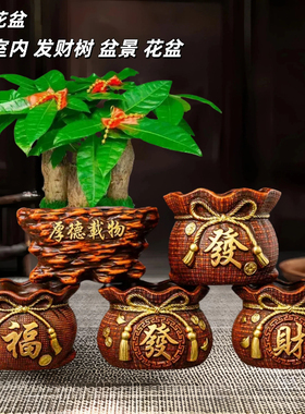 新款钱袋子花盆素烧陶土ins风带托盘发财树蝴蝶兰君子兰复古花盆