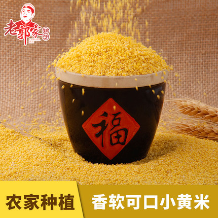 老郭家铺子黄小米小米粥小黄米农家自产新米五谷杂粮2025年新货