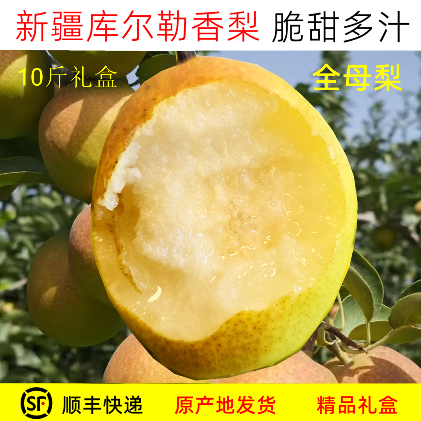 新疆库尔勒香梨10斤礼盒