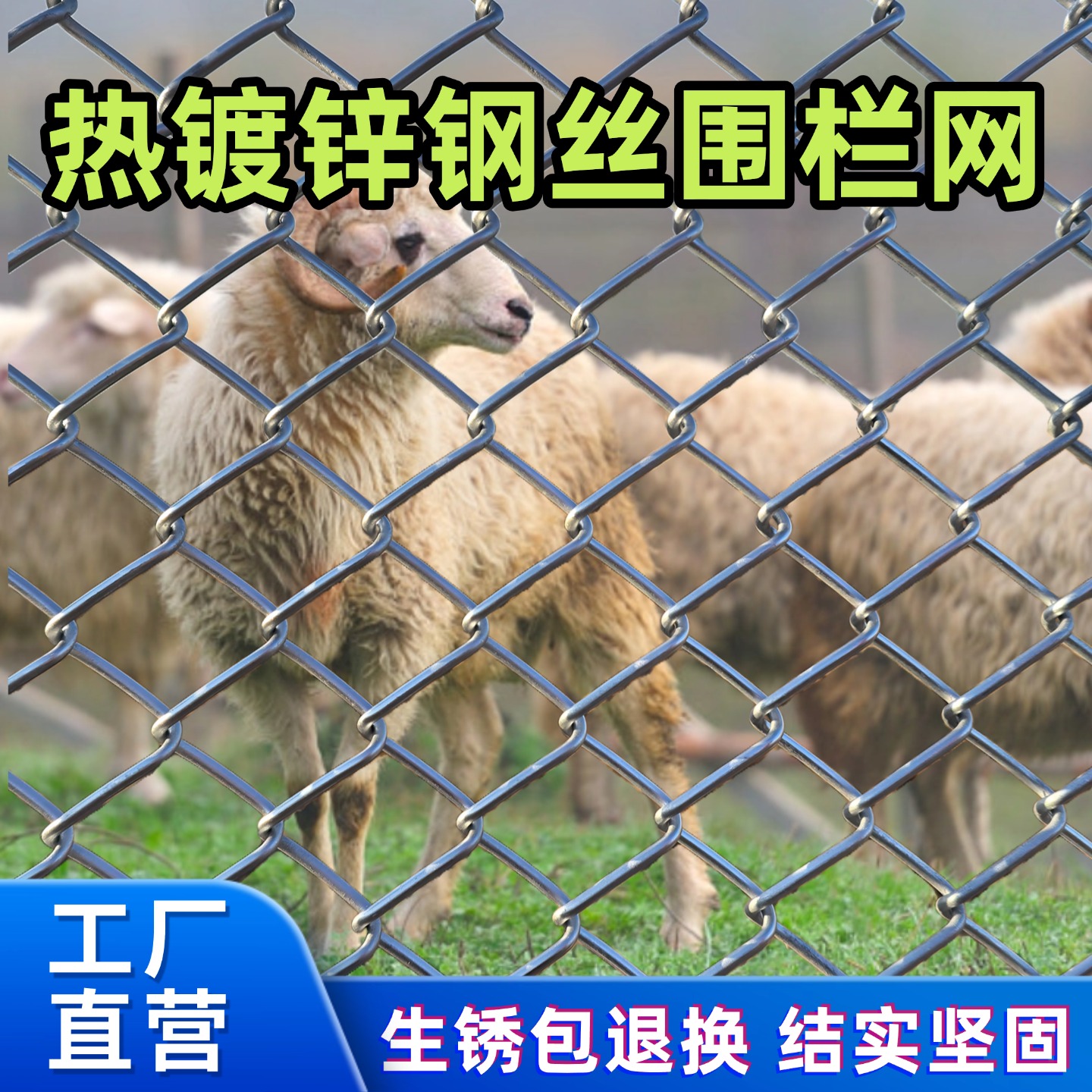 【量大优惠】热镀锌钢丝网