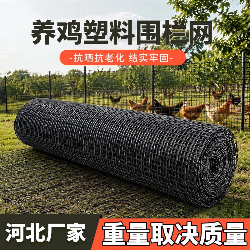 加厚养鸡塑料网养殖网围栏网防护网果园护栏网隔离网格户外拦鸡网