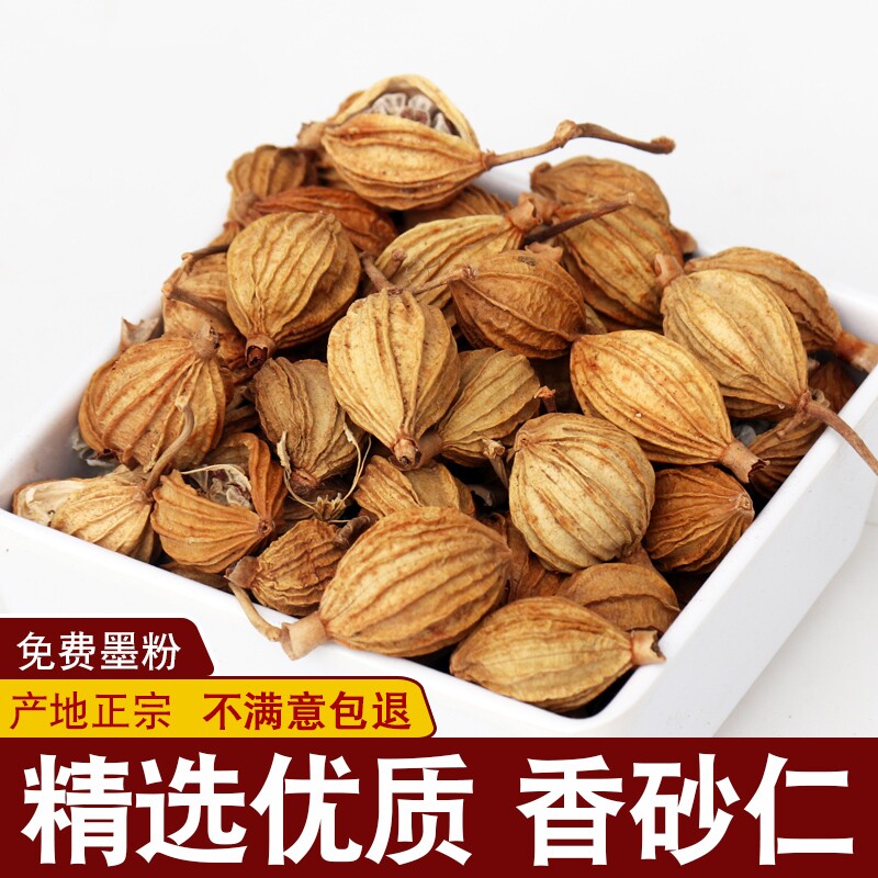 香砂 香砂仁沙仁500g川砂仁土砂仁香香沙正宗 另售黄芪香料调料