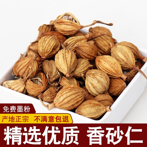 香砂 香砂仁沙仁500g川砂仁土砂仁香香沙正宗 另售黄芪香料调料