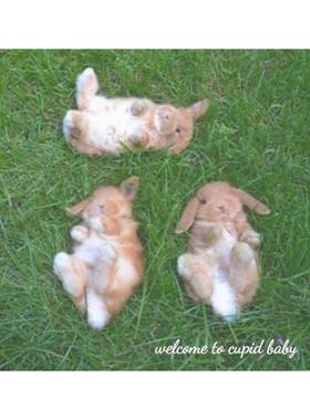 Cupid Baby  瑕疵小物的限量掉落12/28更新中~）