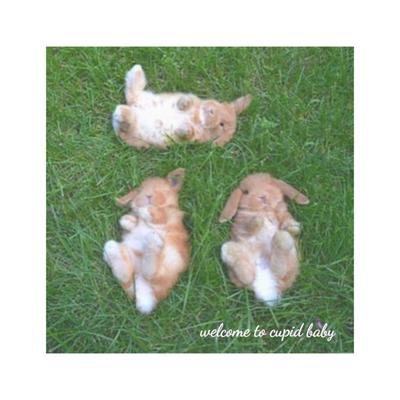 Cupid Baby  瑕疵小物的限量掉落12/28更新中~）