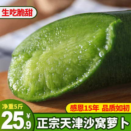 天津沙窝萝卜正宗水果萝卜生吃脆甜型青萝卜新鲜绿色即食蔬菜现拔