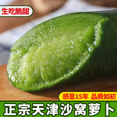 天津沙窝萝卜水果萝卜新鲜脆甜