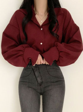 泡泡袖酒红色雪纺上衣衬衫女长袖夏大码胖MM小众高级感职业OL衬衣