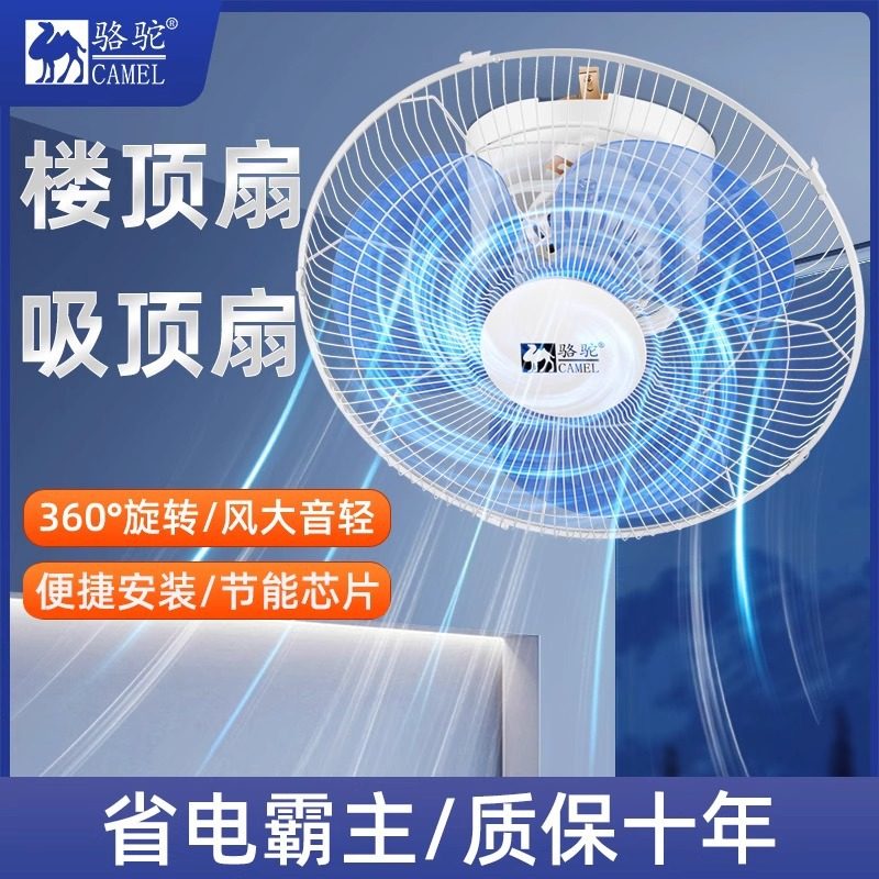 骆驼吸顶扇楼顶扇家用吊扇客厅吊顶扇学校摇头电风扇静音遥控扇