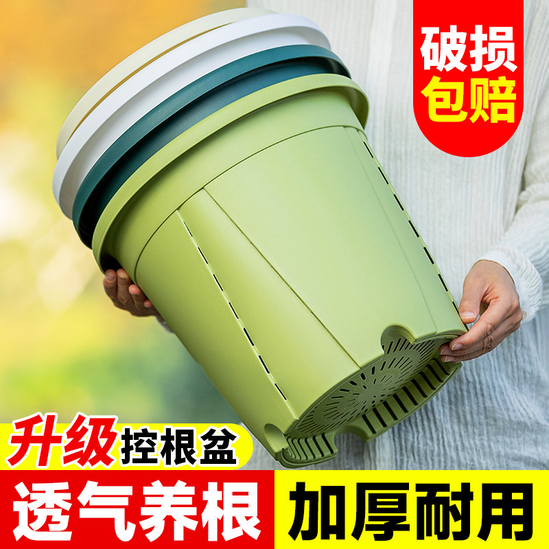 青山控根树脂花盆加厚耐用图片