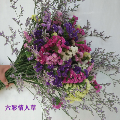 勿忘我干花鲜花勿忘我自然风干