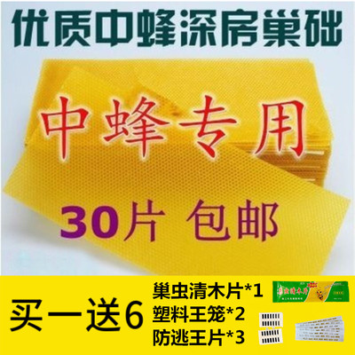 中蜂巢础巢脾蜜蜂窝巢皮巢基巢纸巢框蜂巢础蜂具蜜蜂巢础养蜂工具