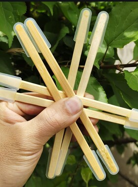 蜜蜂双头取浆笔竹子取皇浆器挖采刮浆笔人工取蜂王浆专用养蜂工具