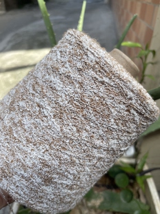 标价500克 锦祥品牌 特色网红圈圈棉大肚线 雪花纱 手编毛衣线